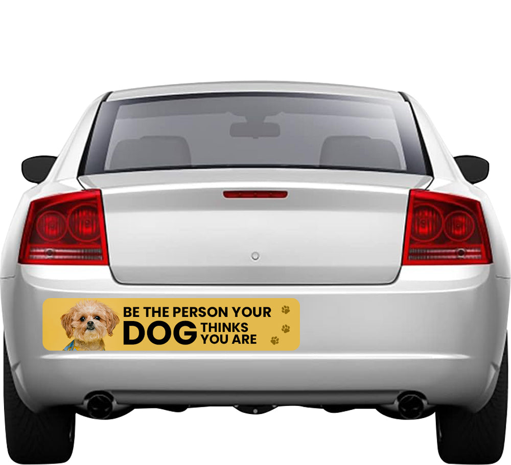 Be The Person Your Dog Thinks You Are