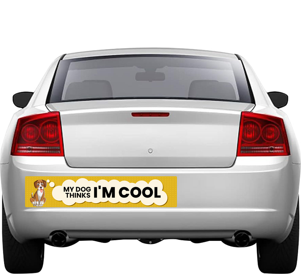 My Dog Thinks I' AM COOL