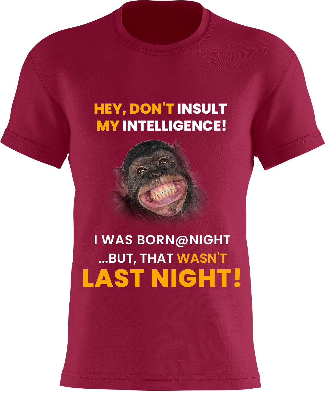 Hey, Don't Insult My Intelligence! I Was Born @ Night ...But, That Wasn't Last Night!