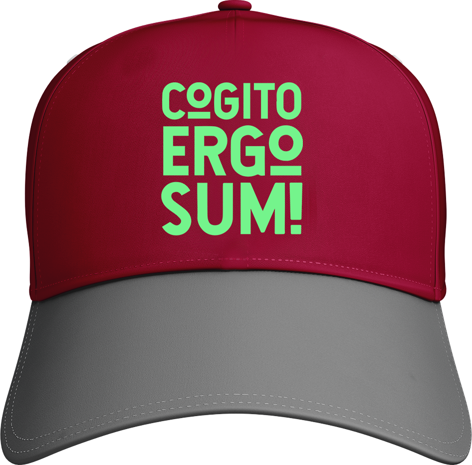Cogito Ergo Sum!
